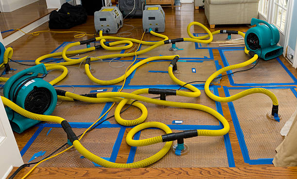 Professional Water Damage Restoration technician working in Campbelltown, PA